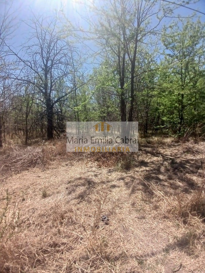 VENTA DE LOTE EN EL CONDADO, COSQUIN